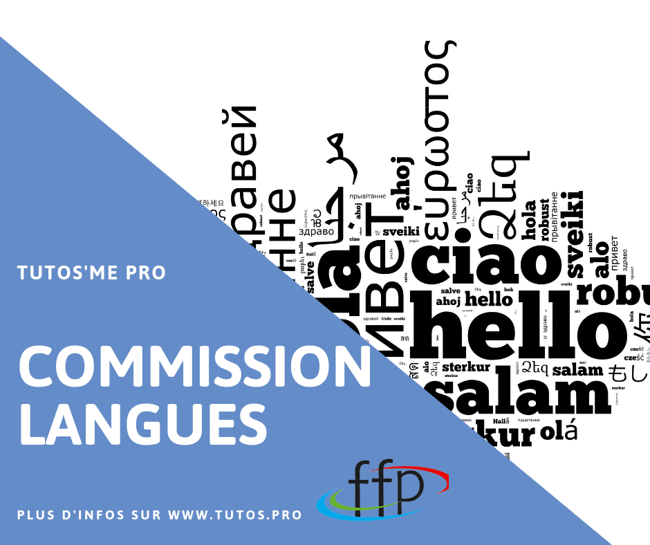 Commission Langues du 16/04/2019: La place centrale des formations en langue pour demain